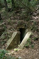 DSC06013