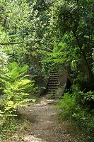 DSC06021