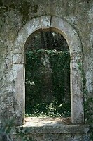 DSC06074
