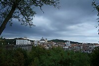 DSC06553
