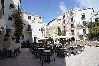 DSC06620