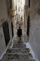 DSC06647