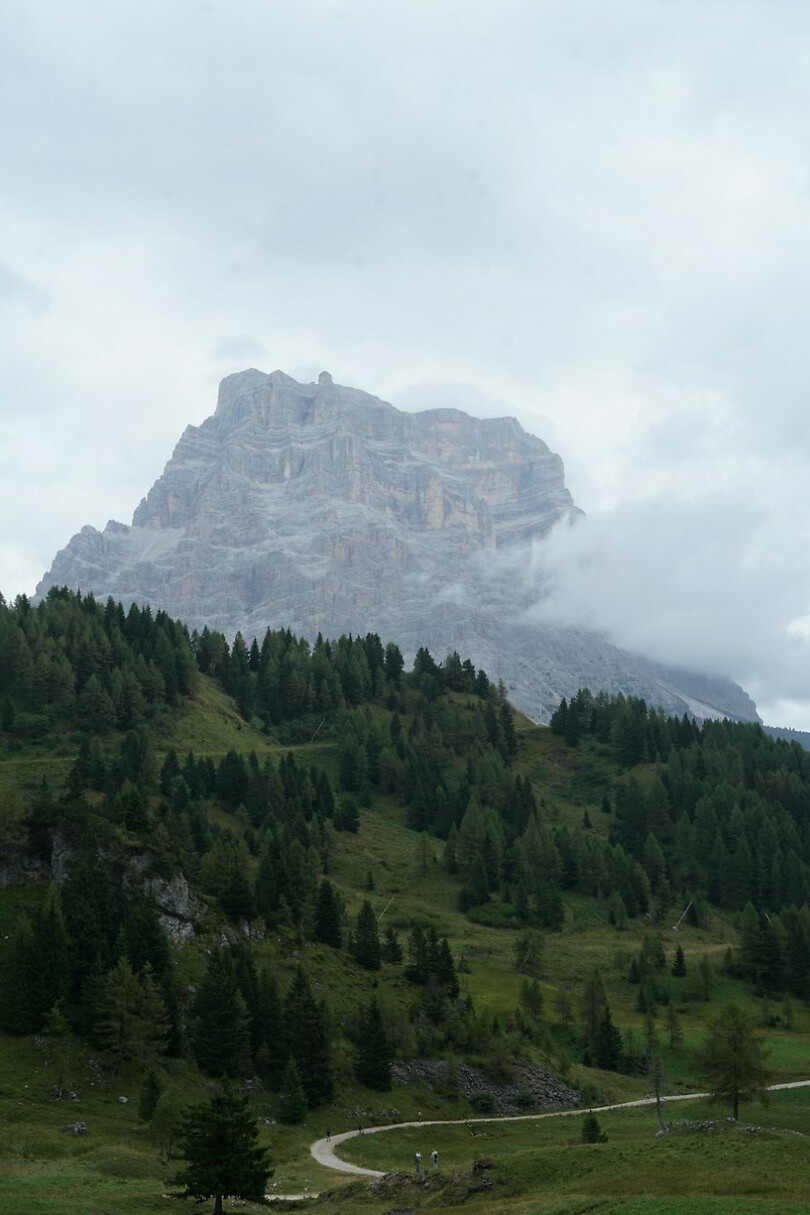 DSC06789