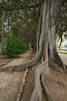 DSC09302