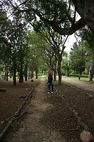 DSC09312