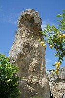 DSC09579