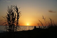 DSC02259
