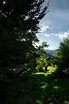 DSC02365