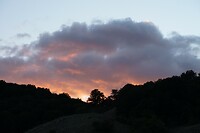 DSC02382