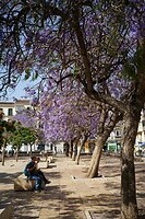 DSC04140[1]
