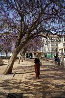 DSC04143[1]