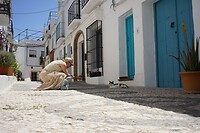 DSC04421