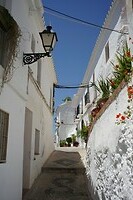 DSC04427