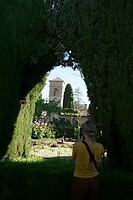DSC04517