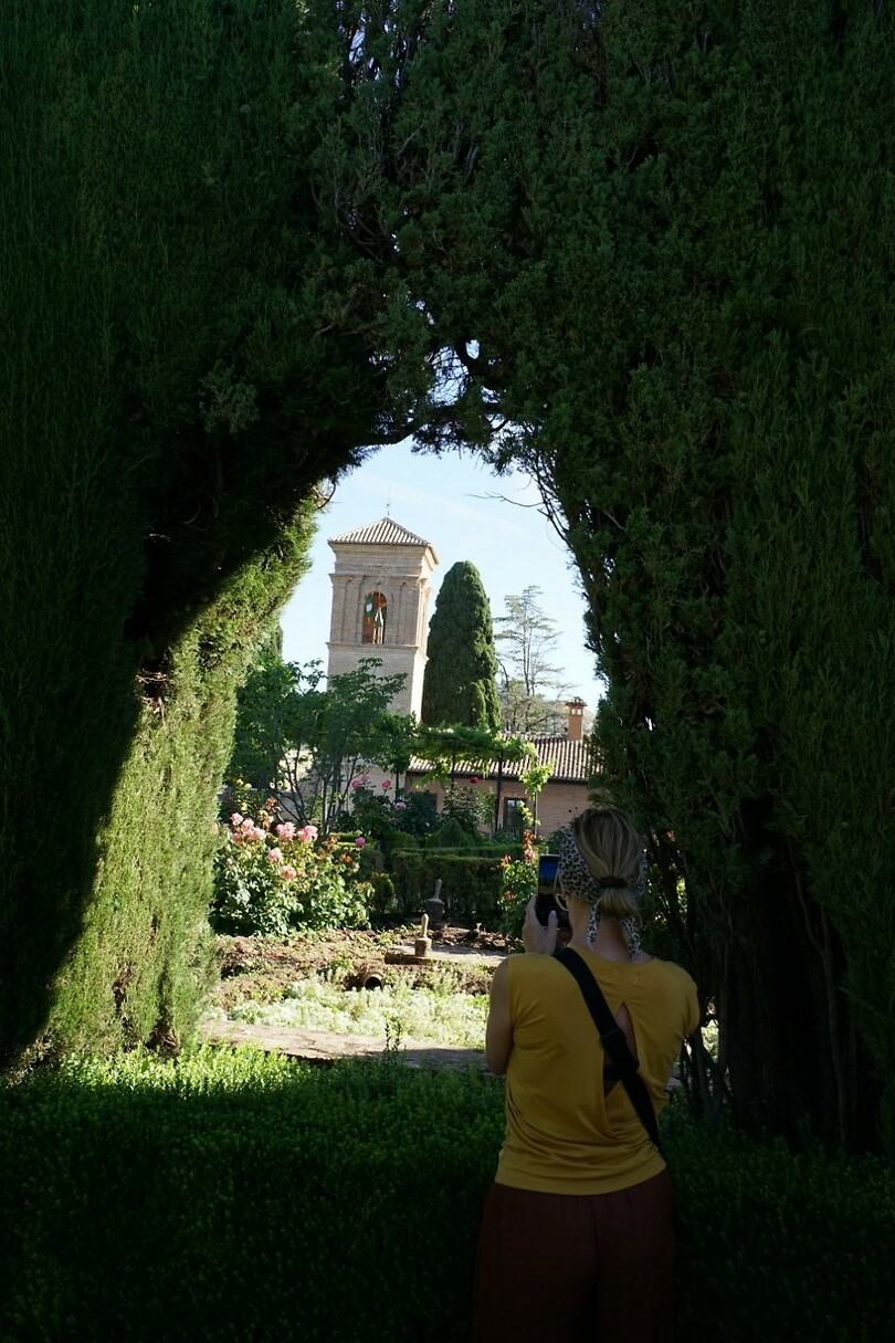DSC04517