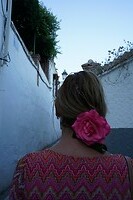 DSC04733