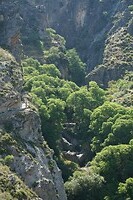 DSC04777