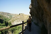 DSC04780