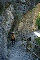 DSC04781