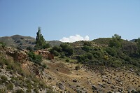 DSC04793