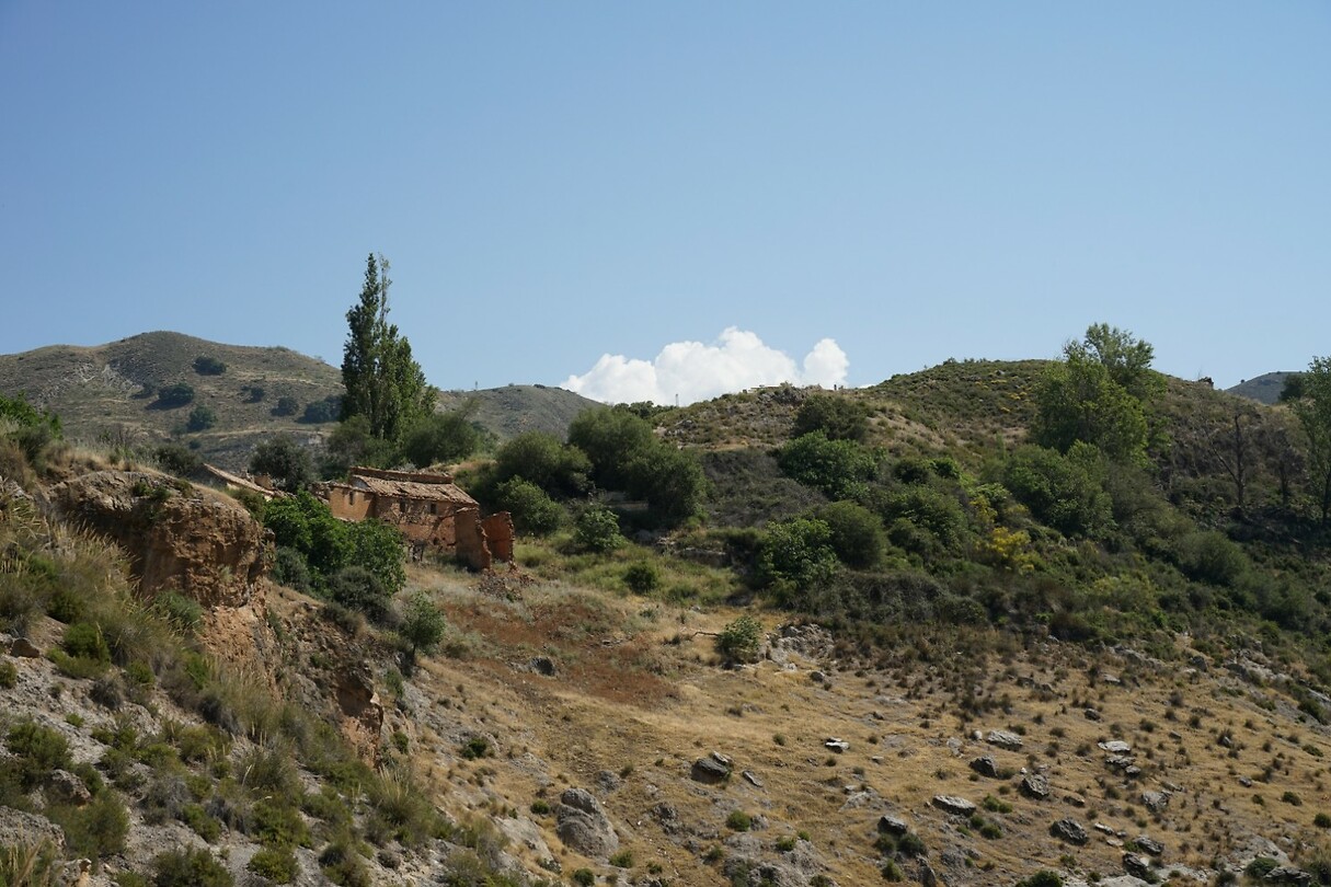 DSC04793