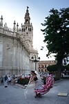 DSC04849 (1)