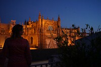 DSC04890