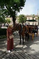 DSC04906