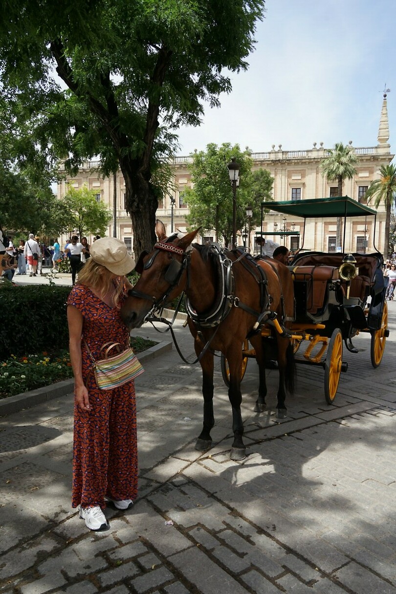 DSC04906