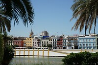 DSC04945