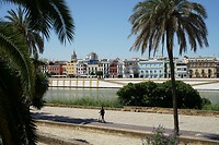 DSC04946