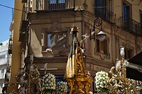 DSC05007 (1)