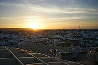 DSC05119 (1)