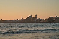 DSC05220 (1)