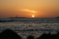 DSC05242 (1)