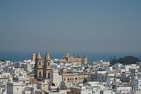 DSC05339