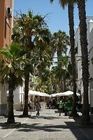 DSC05358