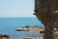 DSC05384