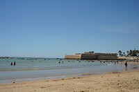 DSC05420