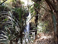DSCF0083