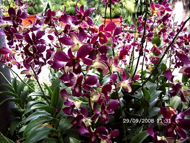 DSCF0172
