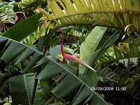DSCF0174