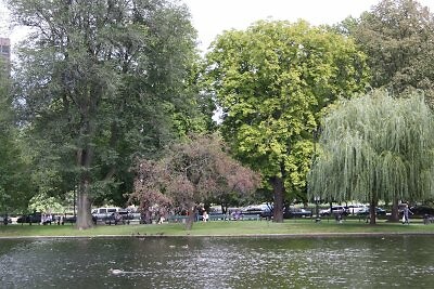 IMG_0278