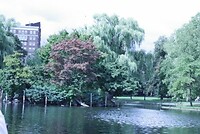 IMG_0282