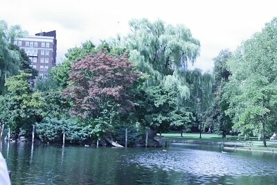 IMG_0282