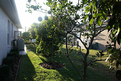 IMG_0007