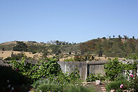IMG_0019