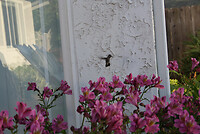 IMG_0021