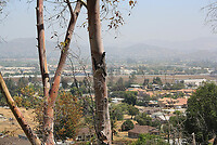 IMG_0027