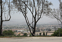 IMG_0028